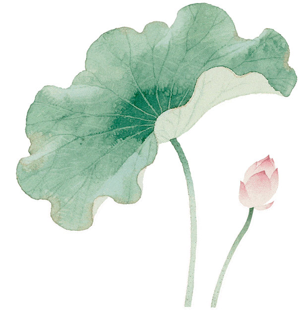 夏至｜意静心清 廉洁铸魂